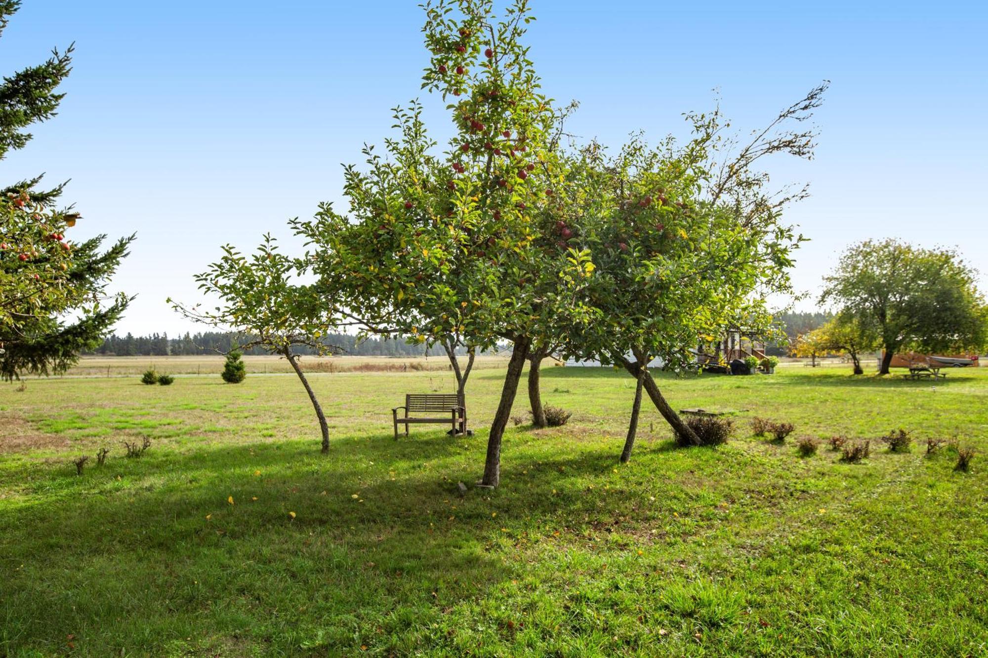 Historic Officer'S Farmhouse At Olf Coupeville Buitenkant foto