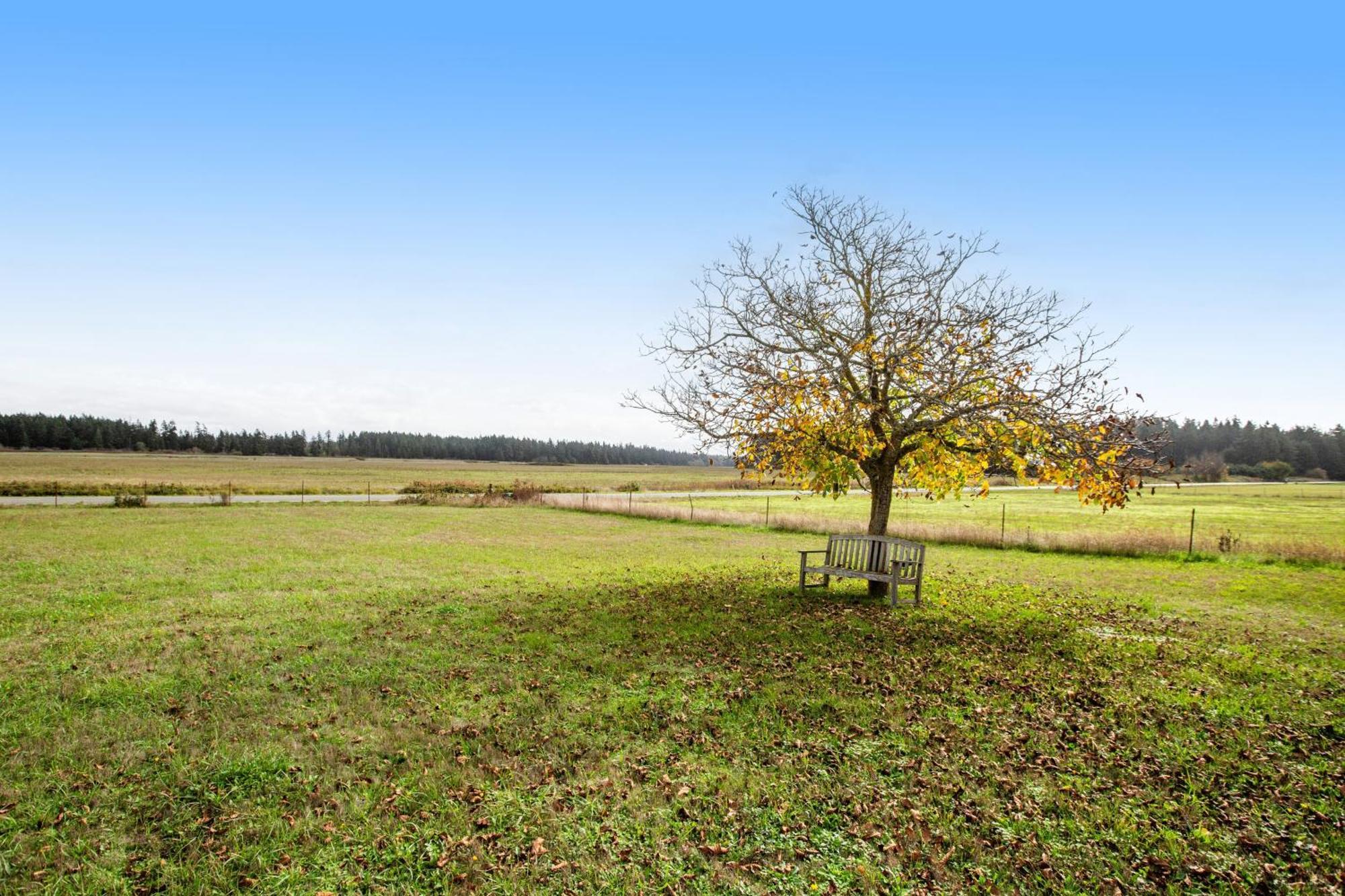 Historic Officer'S Farmhouse At Olf Coupeville Buitenkant foto