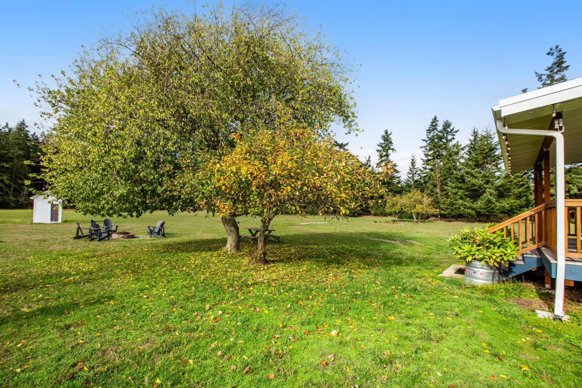 Historic Officer'S Farmhouse At Olf Coupeville Buitenkant foto